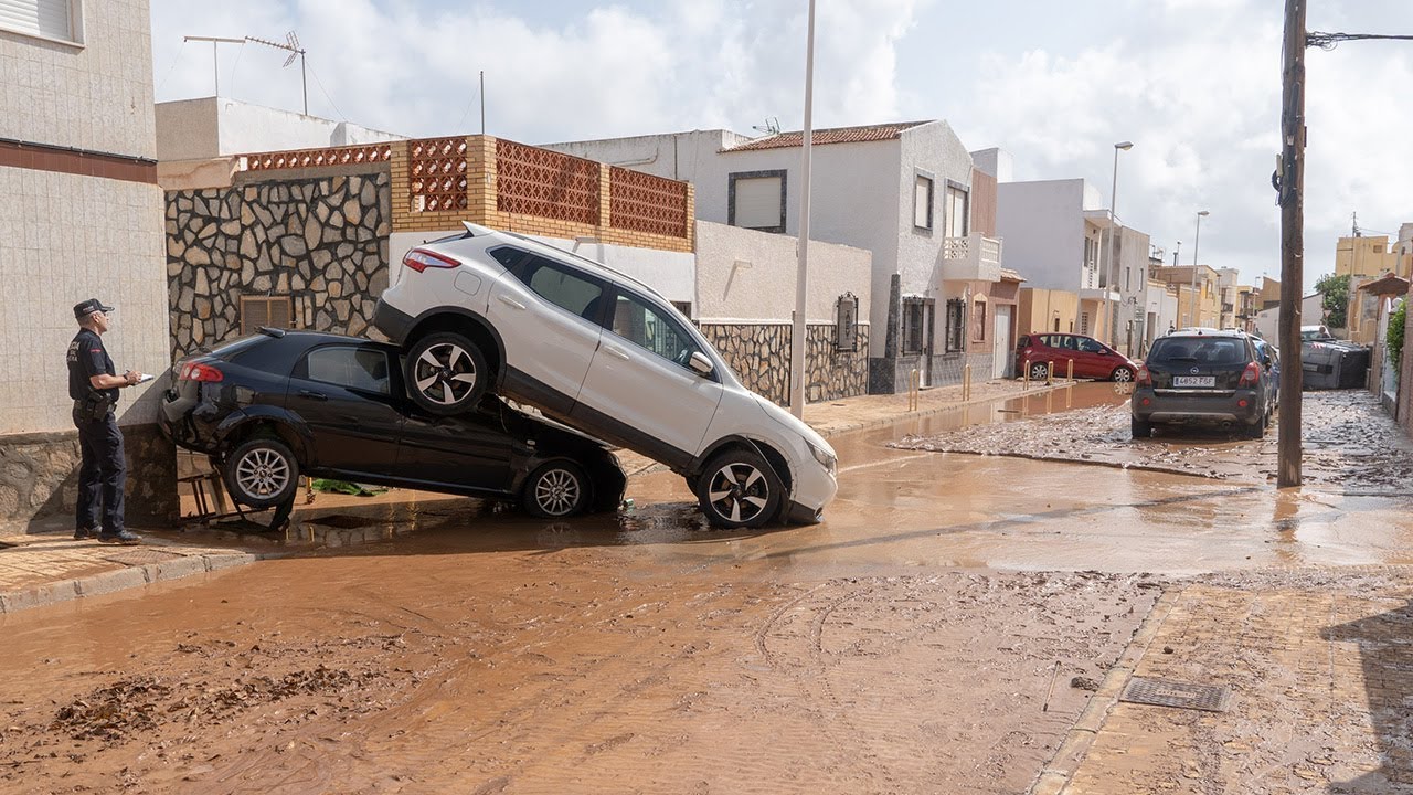 El Ayuntamiento centrará sus esfuerzos en la recuperación de las poblaciones del Mar Menor