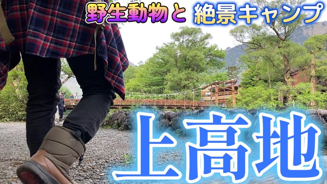【長野】上高地　小梨平キャンプ場　異世界のような美しさ。散策が楽しくなる高原の避暑地。雄大な穂高岳、梓ブルーの梓川、近すぎる野生動物、透き通る小川。高原キャンプのすべてが揃う２泊３日。