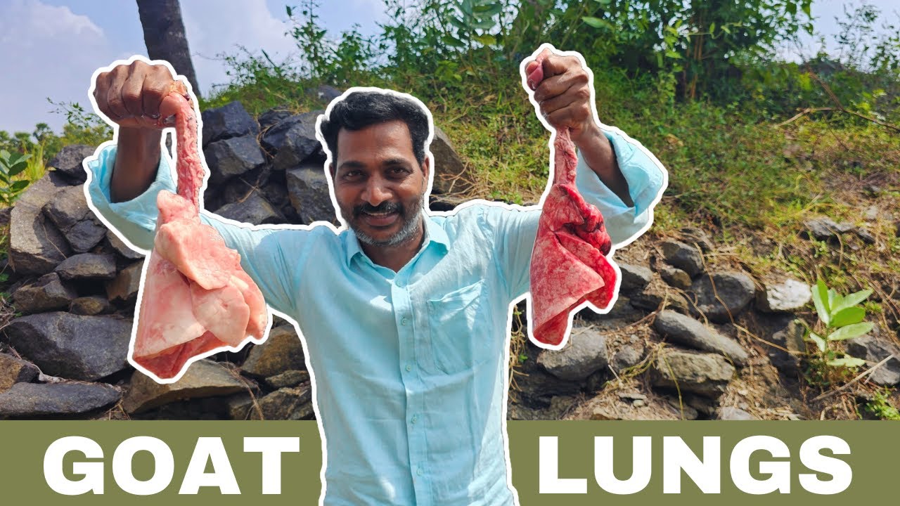 உடல் குளிர்ச்சி தரும் ஆட்டு நுரையீரல் | Goat Lungs | Andrum Indrum | Mams Masala