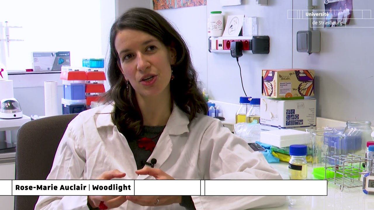 Woodlight, les plantes bioluminescentes de demain