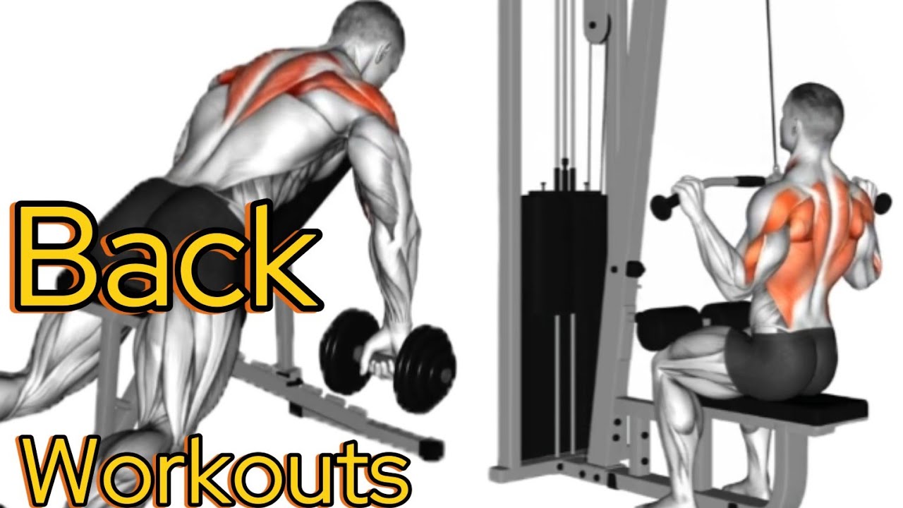 7 Best Back & Lats Workouts for Massive Width and Strength | Full Back Day Gym Exercises 💪🔥