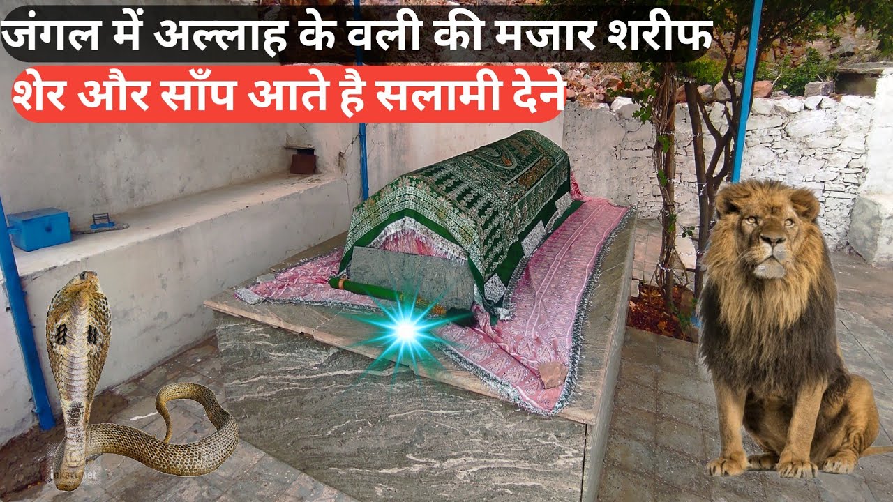 Jangal ke bich Allah ke wali ki mazar par sher Or sanp aata hai salami dene | जंगल में मजार शरीफ