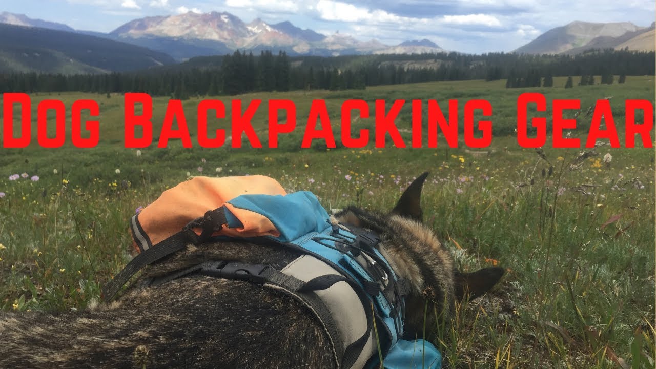 Dog Backpacking Gear List 2020 [Weekend Trips and Thru-Hikes!]