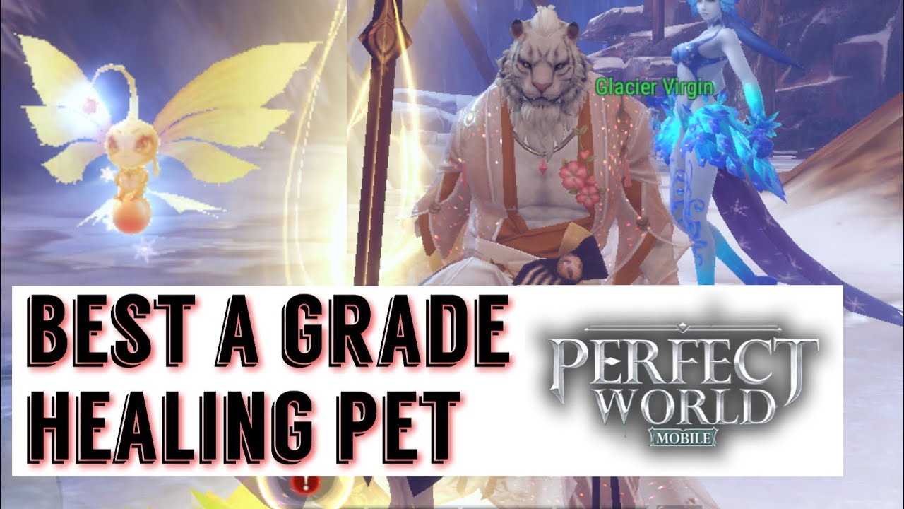 AMAZING POCKET HEALER PET! CUCURBIT SKILL BUILD ELIXER GUIDE! SAVE GOLD COINS! PERFECT WORLD MOBILE