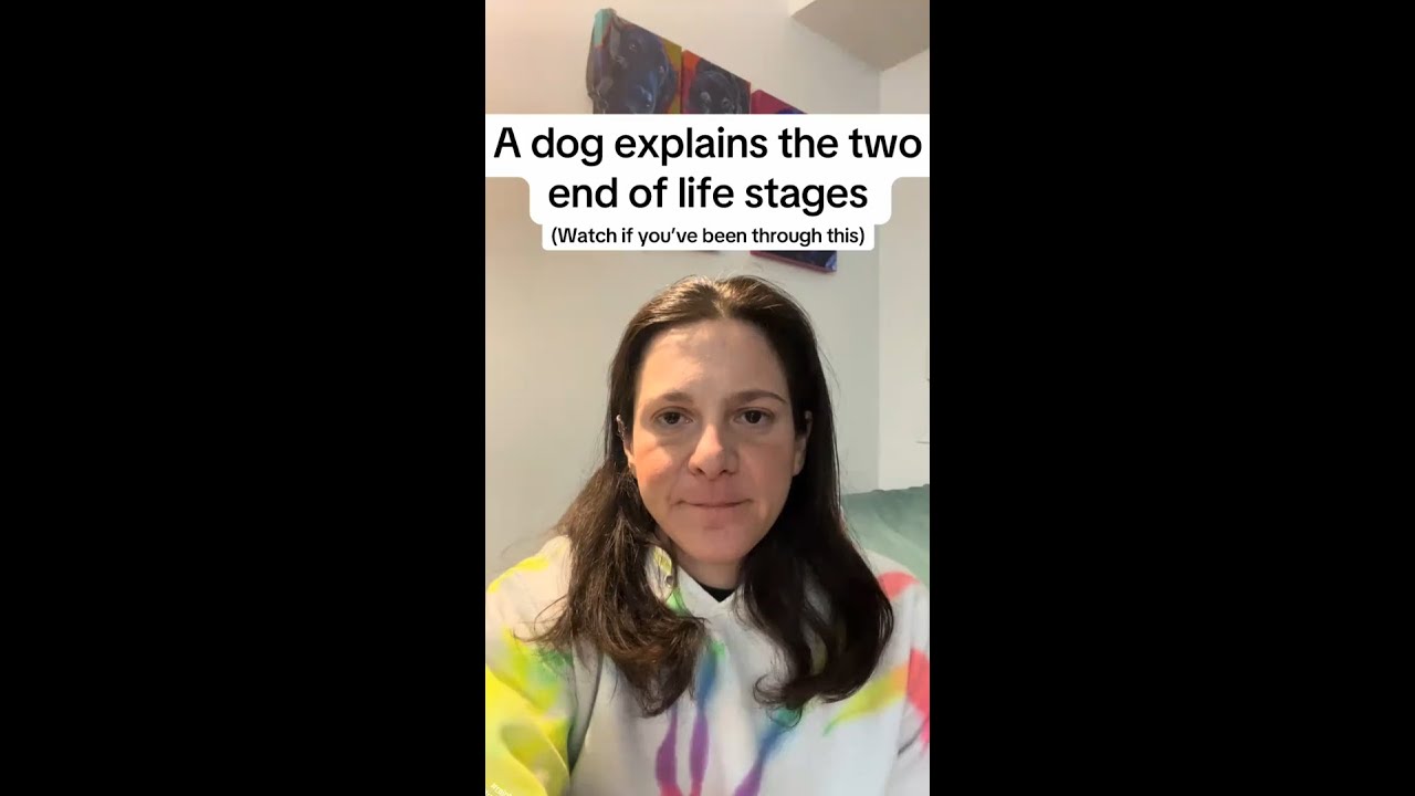 A dog explains the two end of life stages