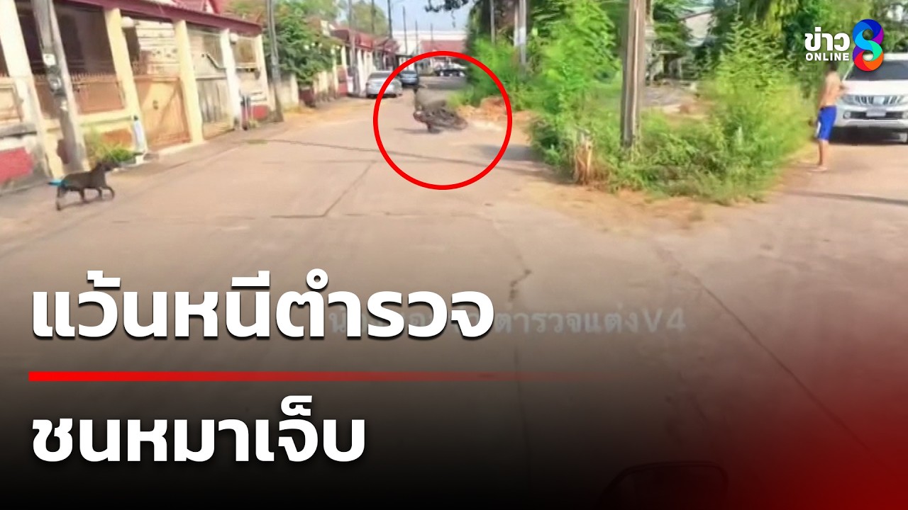 แว้นฝ่าไฟแดงหนี ตร. ชนหมาเจ็บ | 03 มี.ค. 69 | คุยข่าวเช้าช่อง8