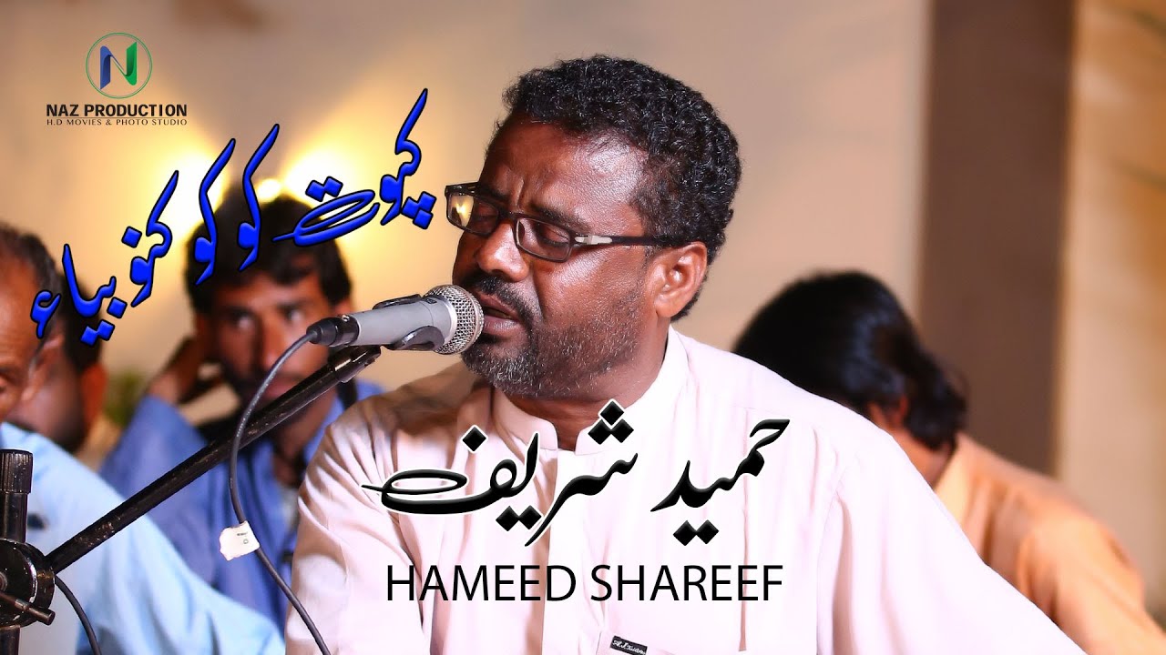 KAPOT🕊KO KO🕊KANO BIA|HAMEED SHAREEF