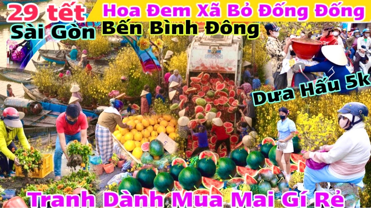 Đem Hoa Xã Bỏ tranh dành mua mai Bến Bình Đông Sài Gòn 2026 dưa Hấu 5k mai 100k xã lổ về quê