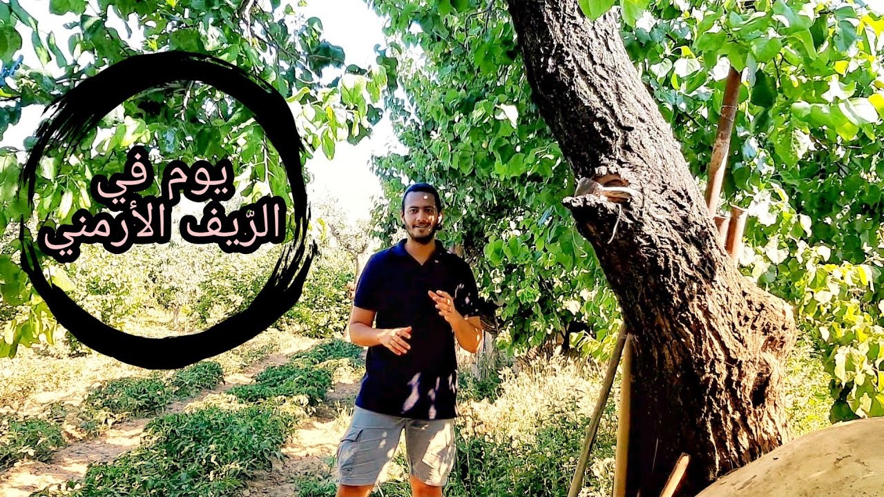 جولة كاملة في مزرعتنا في الريف الأرمني | أفضل المناظر الطبيعية | مريح للأعصاب | VLOG 13 Artashat