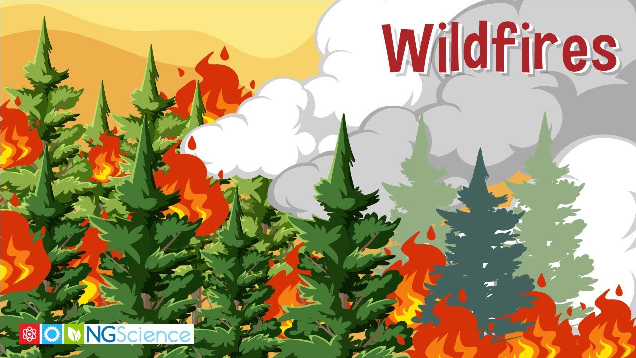 Wildfires