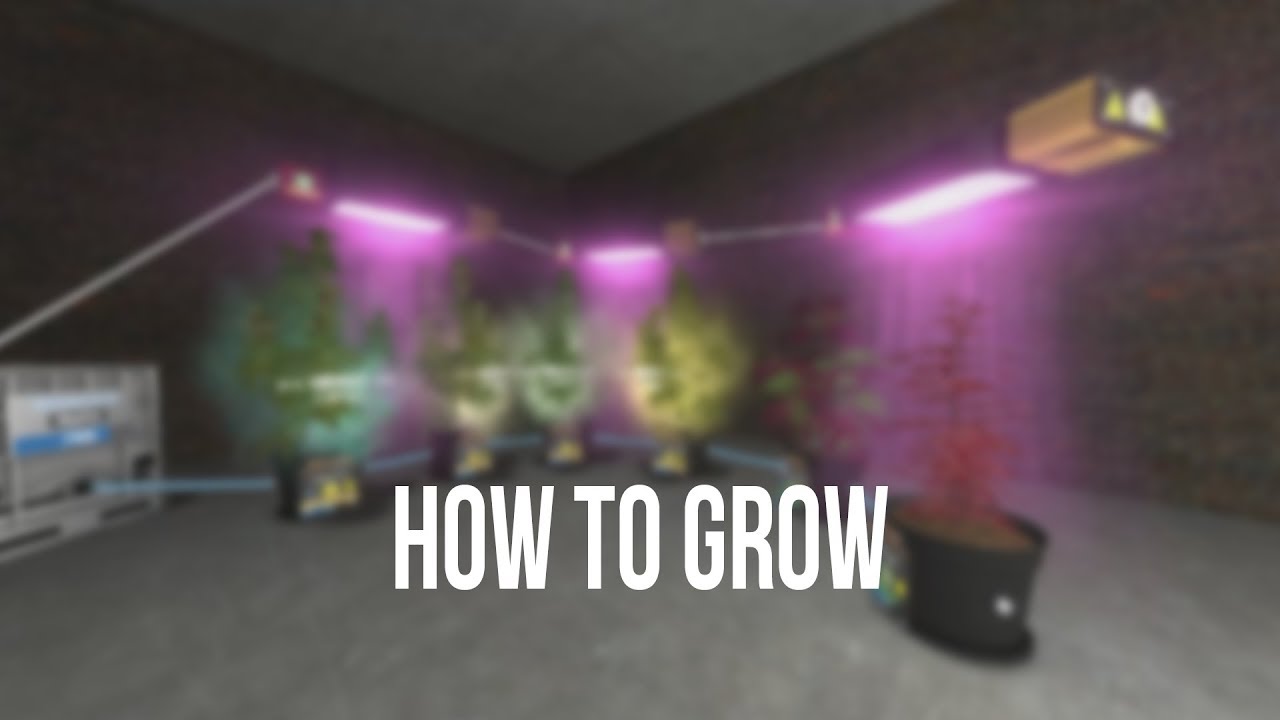 Zero&acute;s Grow Op - Trailer