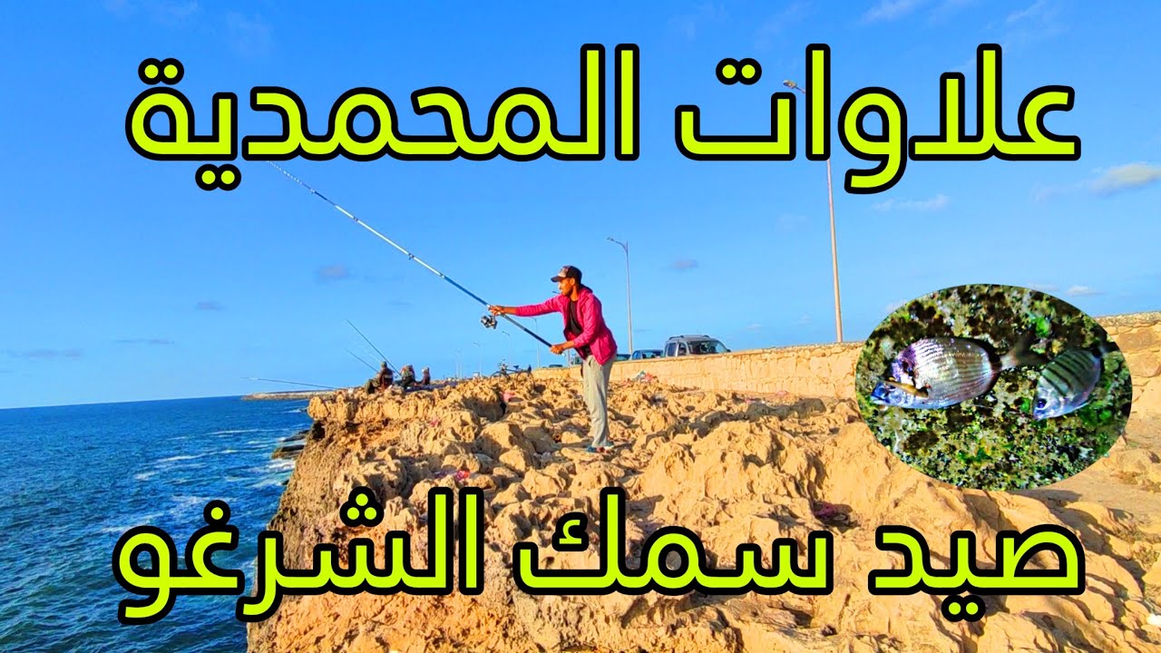Vlog #129 صيد سمك الشرغو بمصيد لافاليز المحمدية