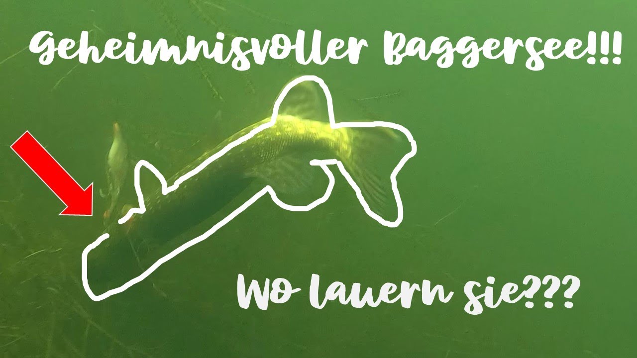 Hechtangeln im Winter am unbekannten Baggersee