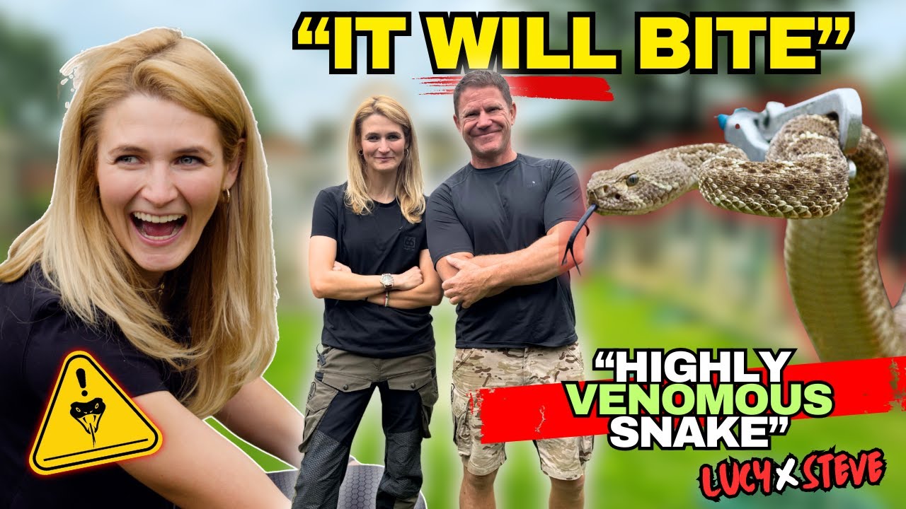 Can You Learn SNAKE Handling in ONE Day? I Tried. With Steve Backshall.