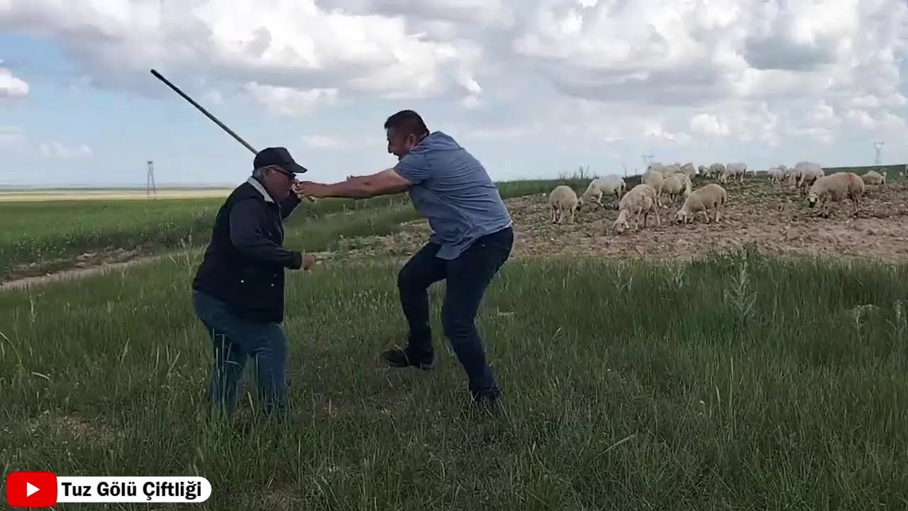 Hamo Amcamı Ziyarete Gittim