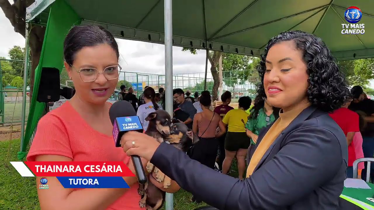 Feira “Adote um Amiguinho” garante novos lares e promove saúde animal