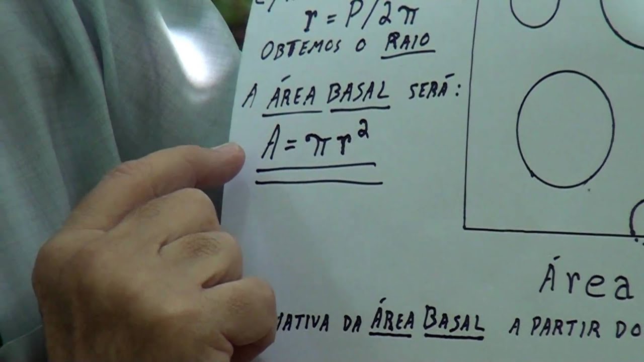 PRATICA de campo-area basal