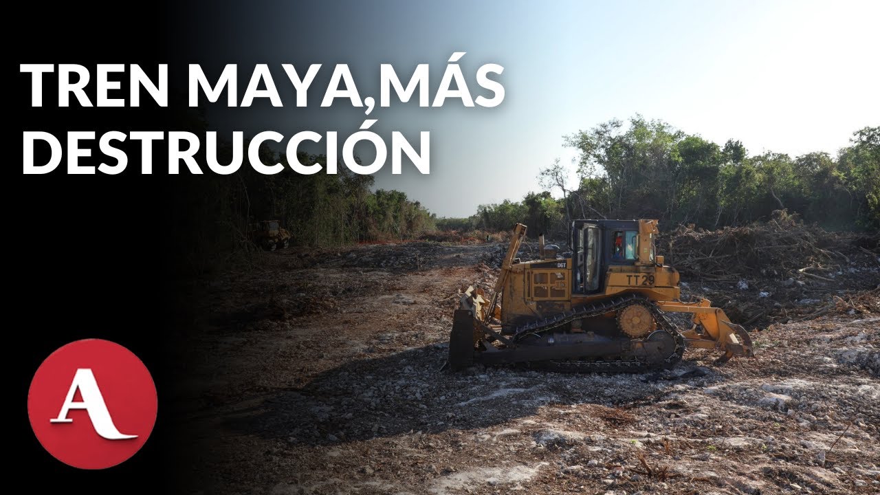 Semarnat aprueba destruir 259 hect&aacute;reas de selva para terminal de carga del Tren Maya en Canc&uacute;n