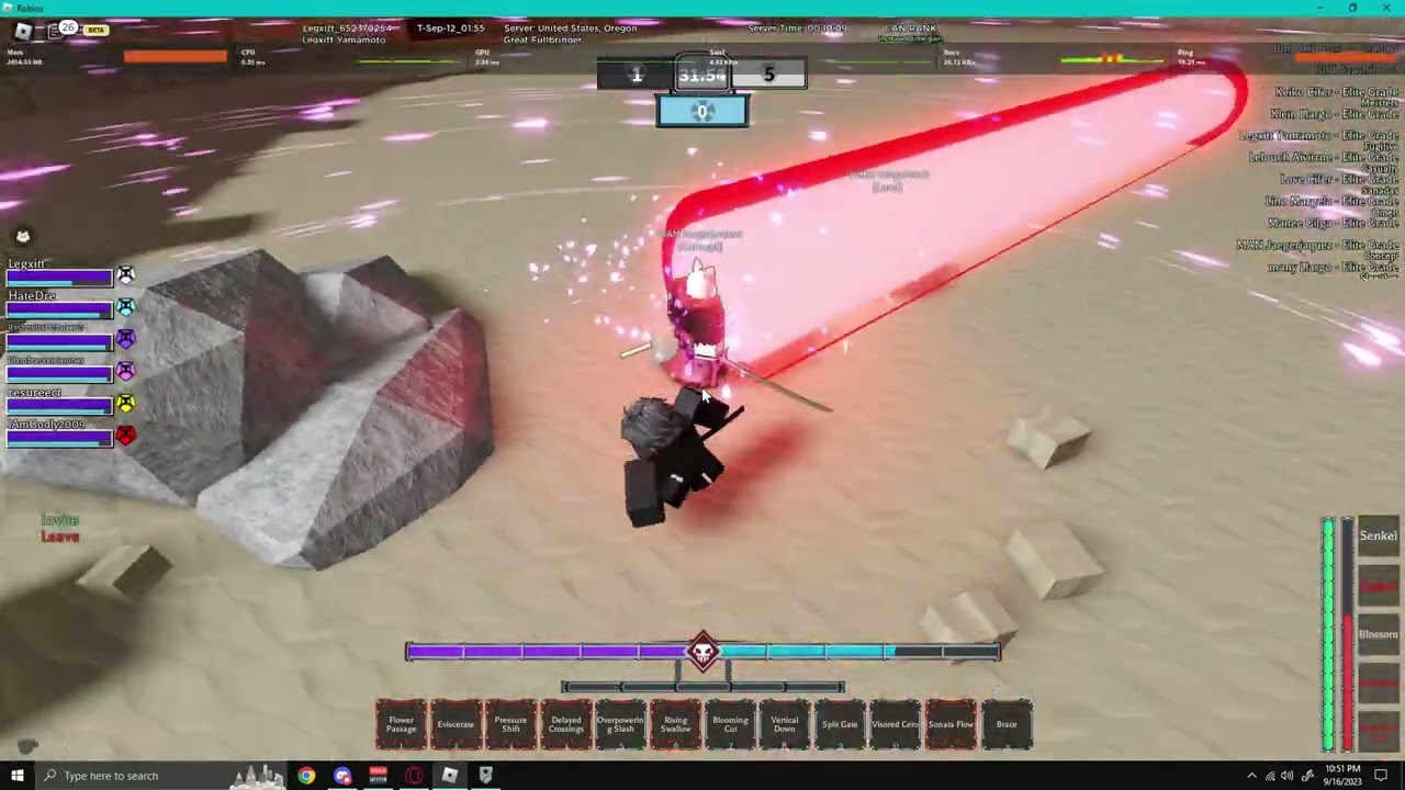 Flower Vizard 1v13 Gladiator | Type Soul