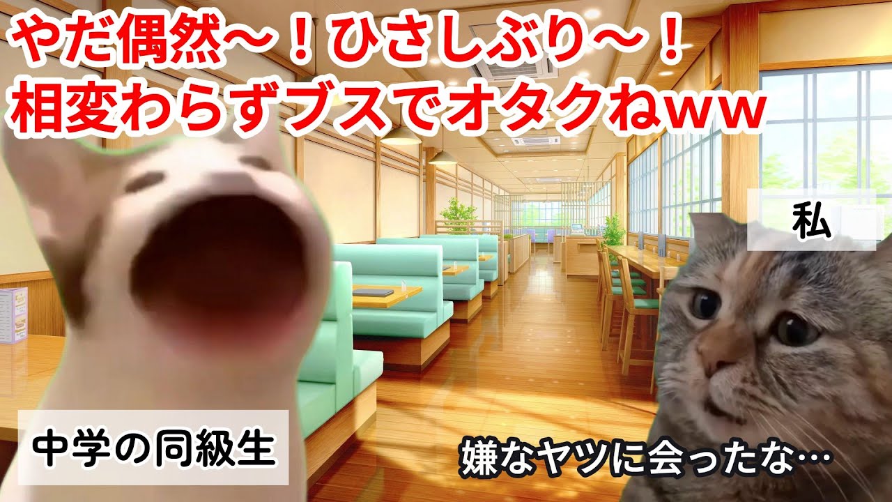 【スカッと猫ミーム】男性医師との合コンで美人な友達の引き立て役にされた話#猫マニ #猫ミーム