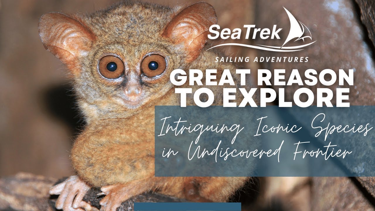 The Undiscovered Frontier: Experience the Rich Biodiversity of Indonesia