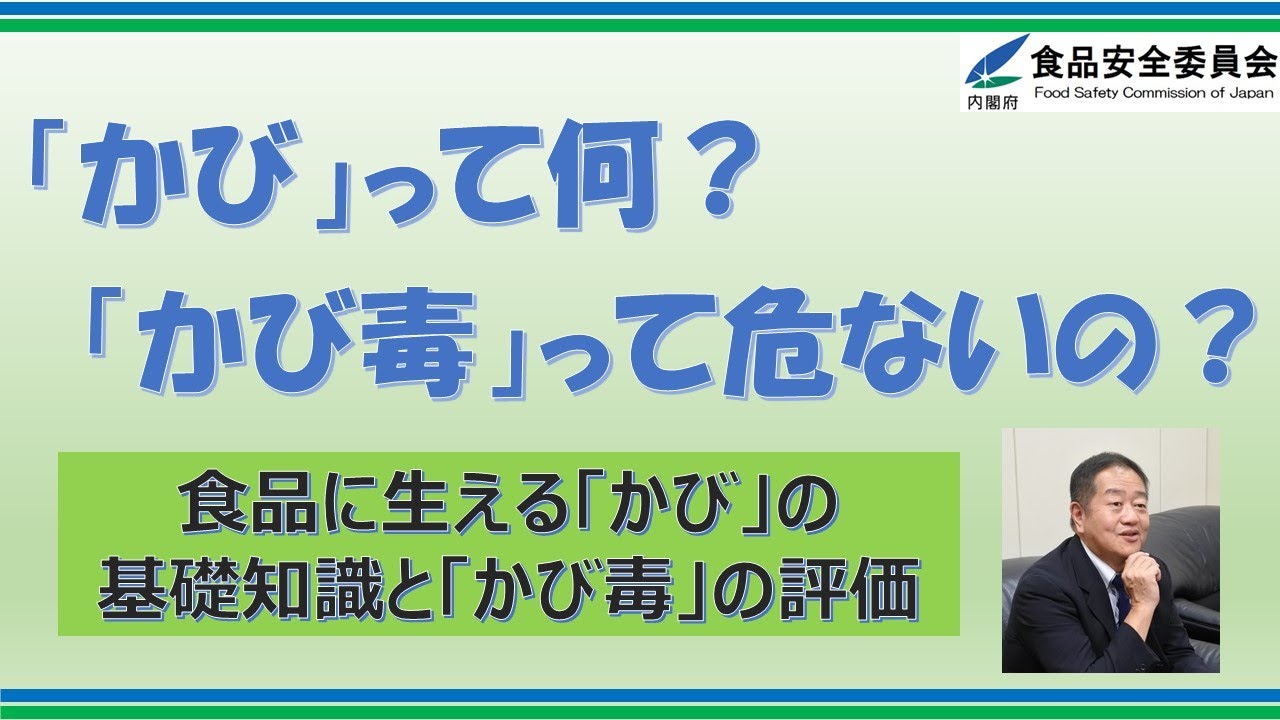 食品に生える「かび」の基礎知識と「かび毒」のリスク評価〔令和4年度食品安全モニターセミナーより〕