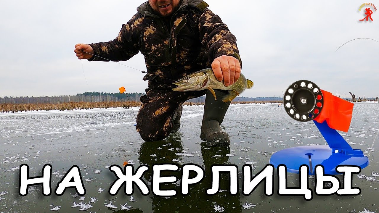 Коряги замёрзли, вся щука там! Только успевай откидывать рыбу...