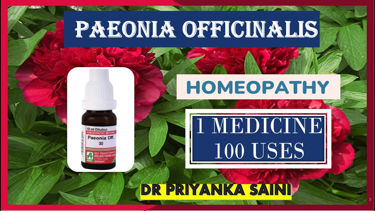 Paeonia Officinalis — гомеопатическое средство || 1 лекарство, 100 применений || Геморрой @dr.pri...
