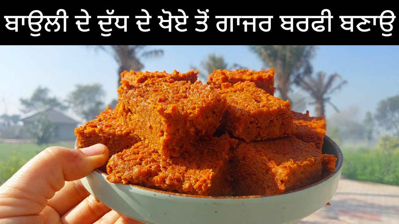 ਬਾਉਲੀ ਵਾਲੇ ਦੁੱਧ ਦੇ ਖੋਏ ਤੋਂ ਤੁਸੀਂ ਗਾਜਰ ਬਰਫੀ ਬਣਾ ਸਕਦੇ ਹੋ।