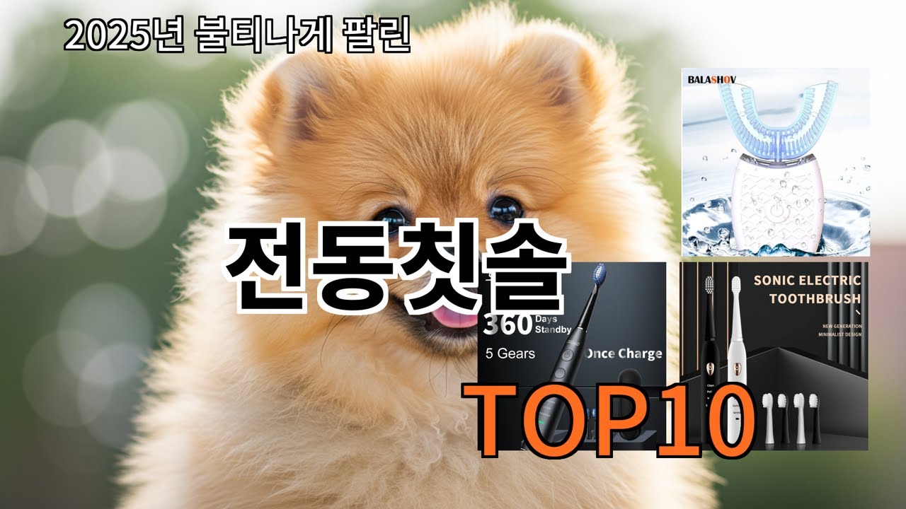 알리 전동칫솔 알리에서 요즘 반응 안정적