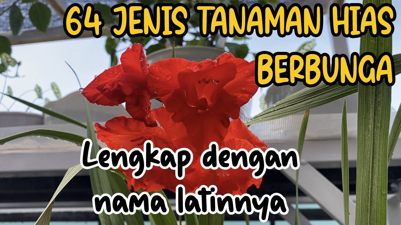 64 JENIS TANAMAN HIAS BERBUNGA || 64 TYPES OF FLOWERS WITH THEIR SCIENTIFIC NAMES