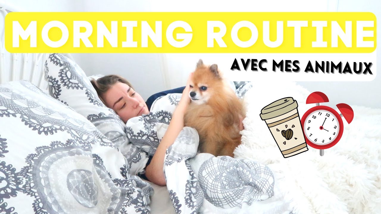 ⏰🎉 MORNING ROUTINE SPÉCIALE ANIMAUX  🐱🦊 / DÉLI Poupi ❤️