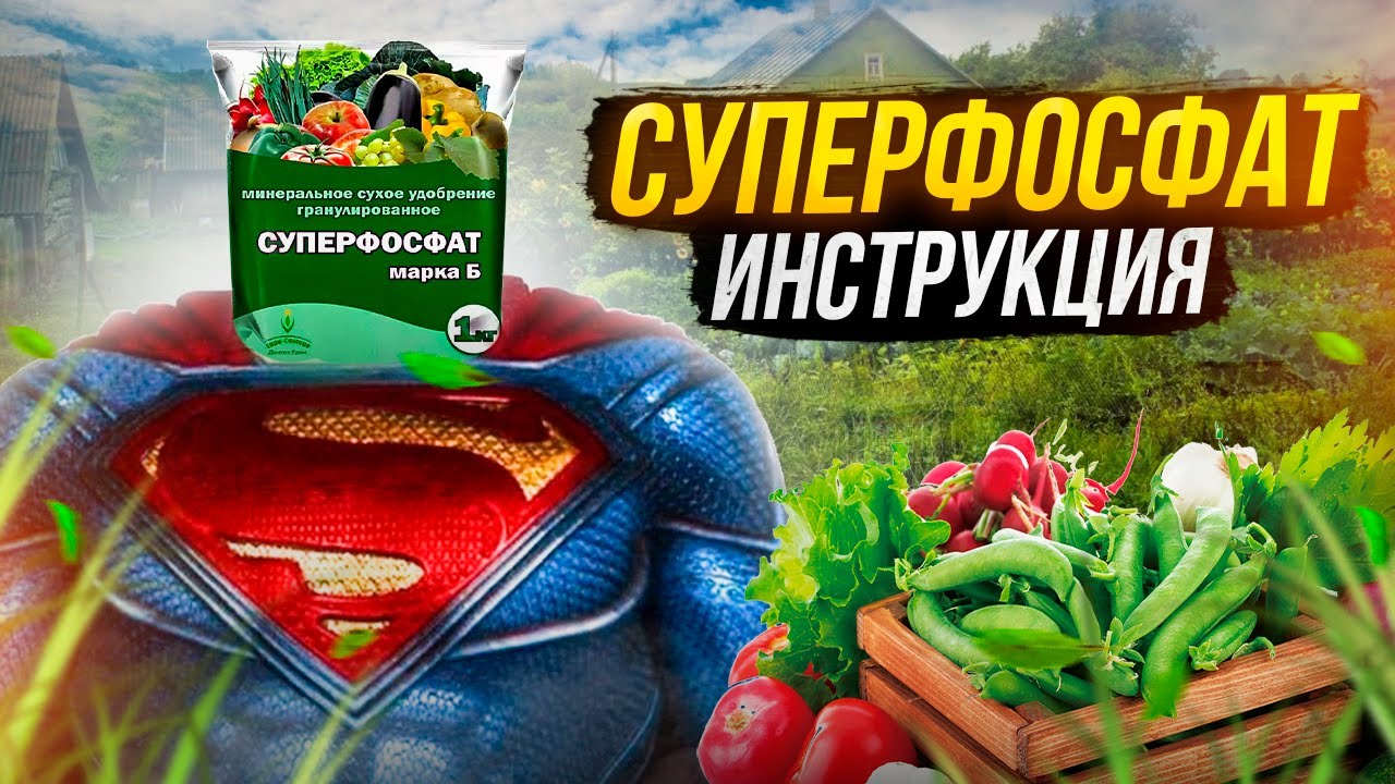 Суперфосфат — супергерой нашего времени! Особенности применения самого популярного удобрения.