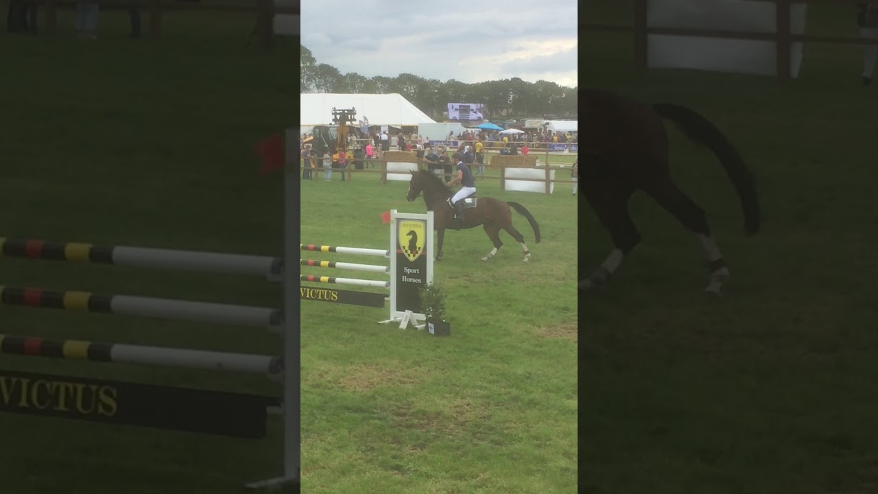 hein heeren met fair klasse L brabantse kampioenschappen 2017 outdoor