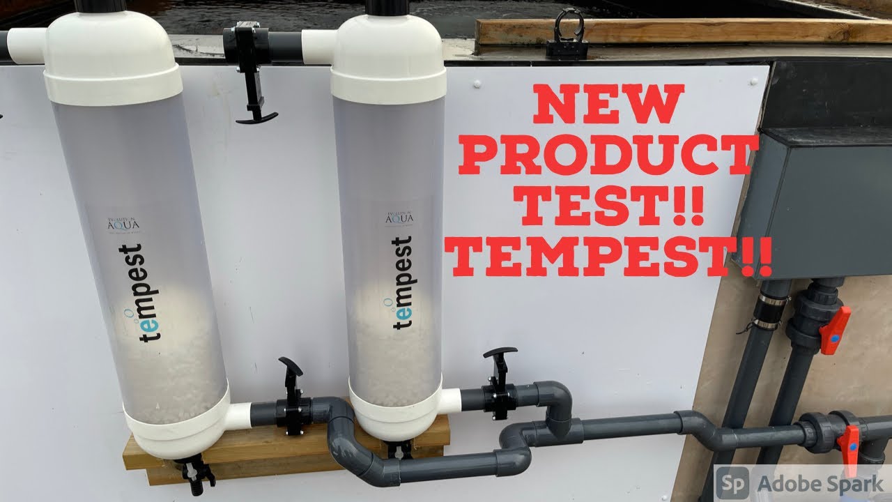 NEW FILTER FROM EVOLUTION AQUA!!!! TEMPEST!!