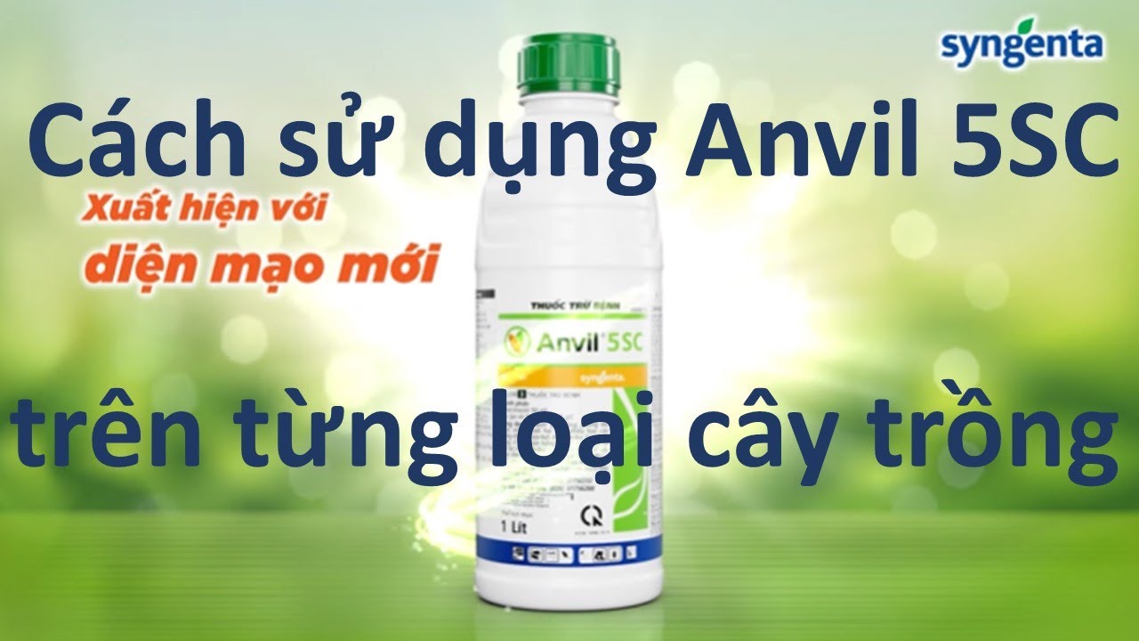 Anvil 5SC cách sử dụng trên trừng loại cây trồng | Syngenta | VFC | thuốc trừ bệnh