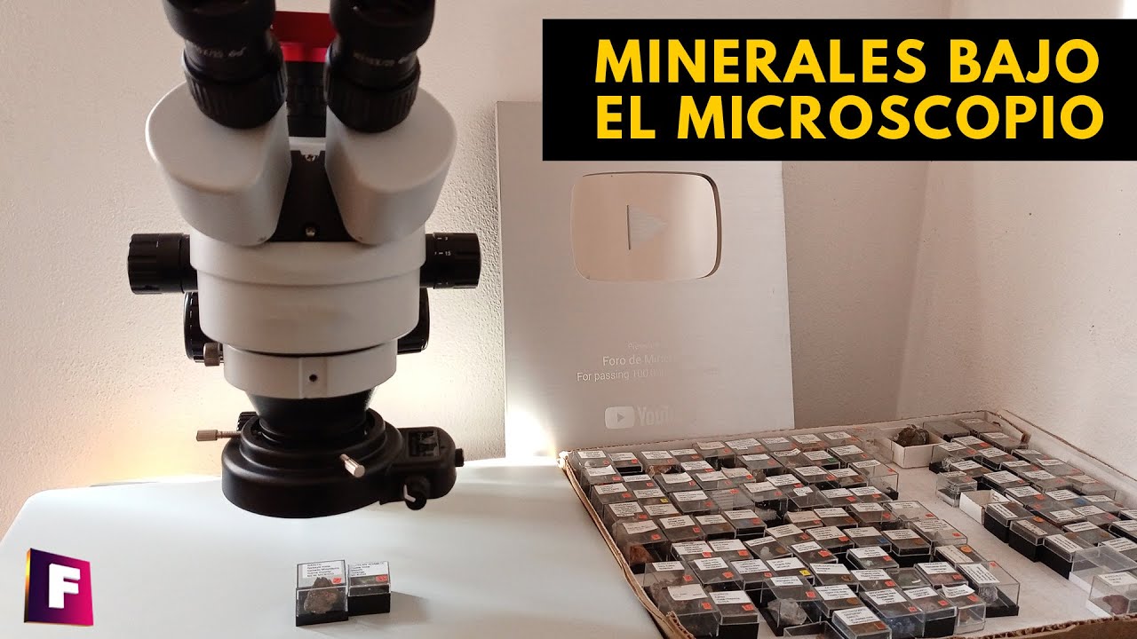 🔴 EN DIRECTO - MINERALES BAJO EL MICROSCOPIO #2  - Foro de Minerales