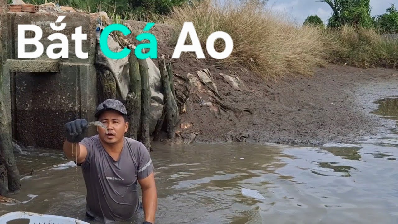Bắt Cá Ao, Cá Tự Nhiên Quá Nhiều Loại Cá, Bắt Được Cặp Cua Gạch Quá Êm