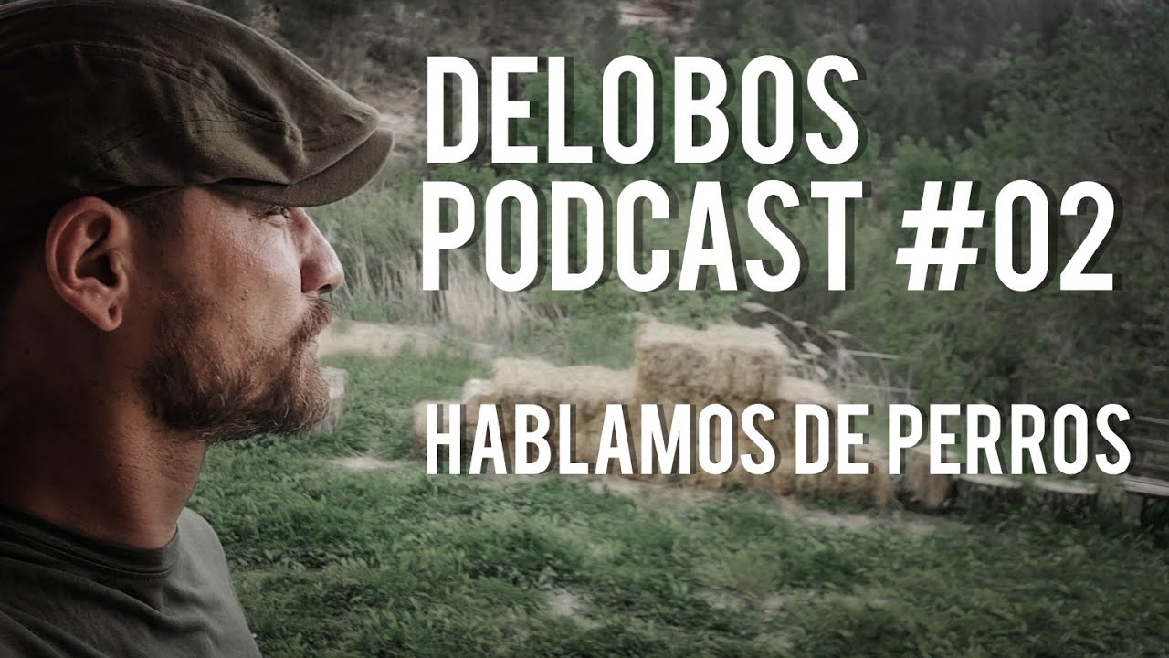 Podcast #02 - Hablamos de perros.