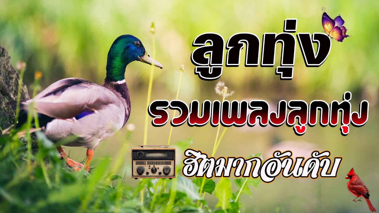 รวมเพลงลูกทุ่ง เก่าๆ : ฟังกี่ครั้ง ก็ยังเพราะ คัดมาพิเศษ #ฟังต่อเนื่อง #เสียงคุณภาพ HD