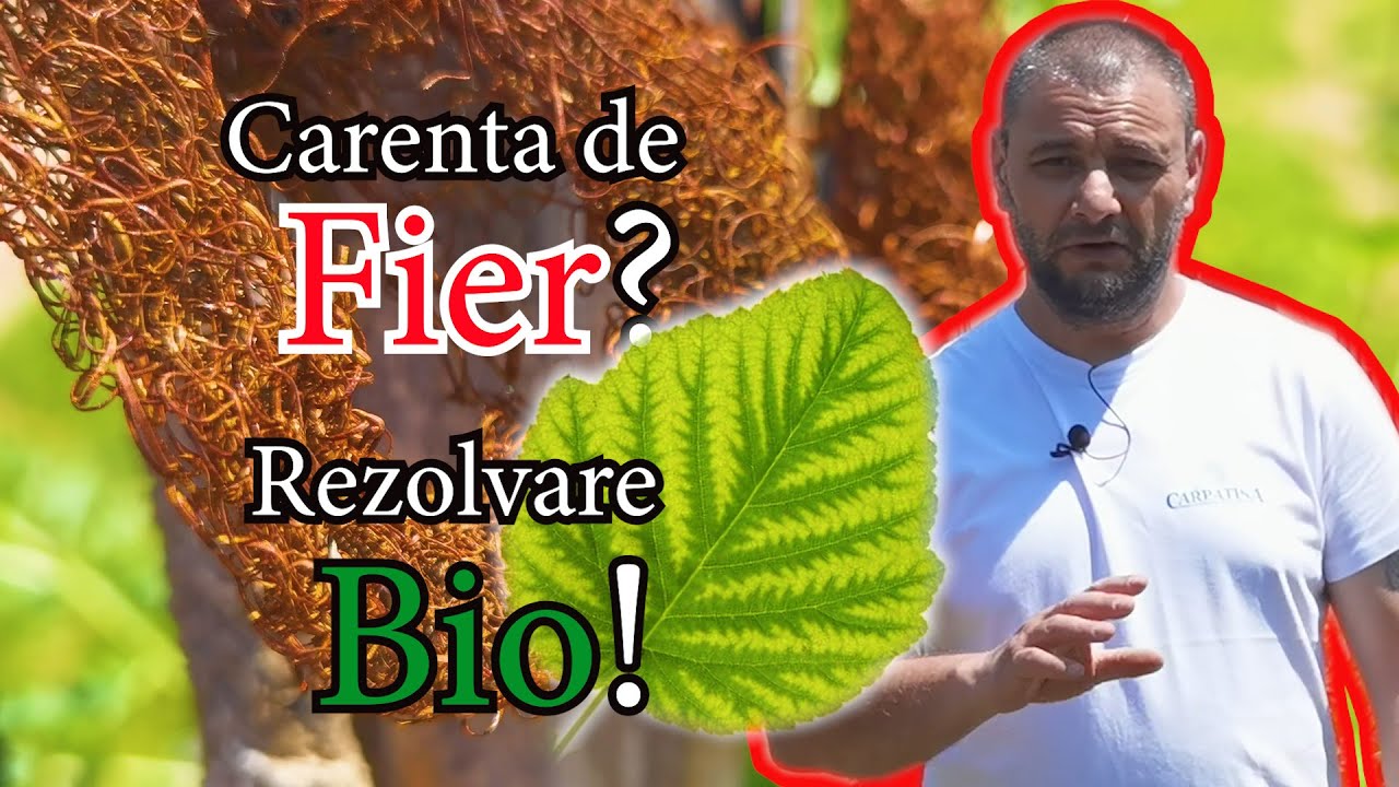 Reglarea Carentei de Calciu si Fier in Pomicultura
