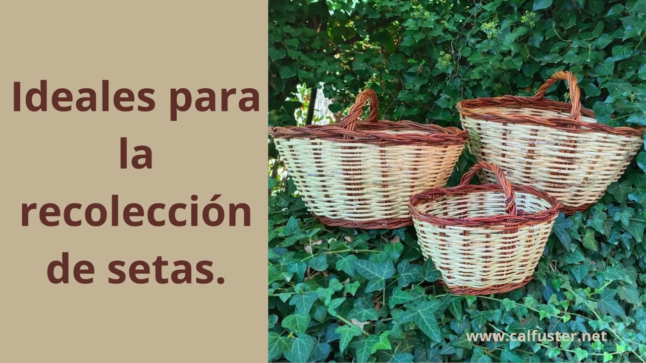 &iexcl;LA CESTA PERFECTA PARA TUS SETAS!