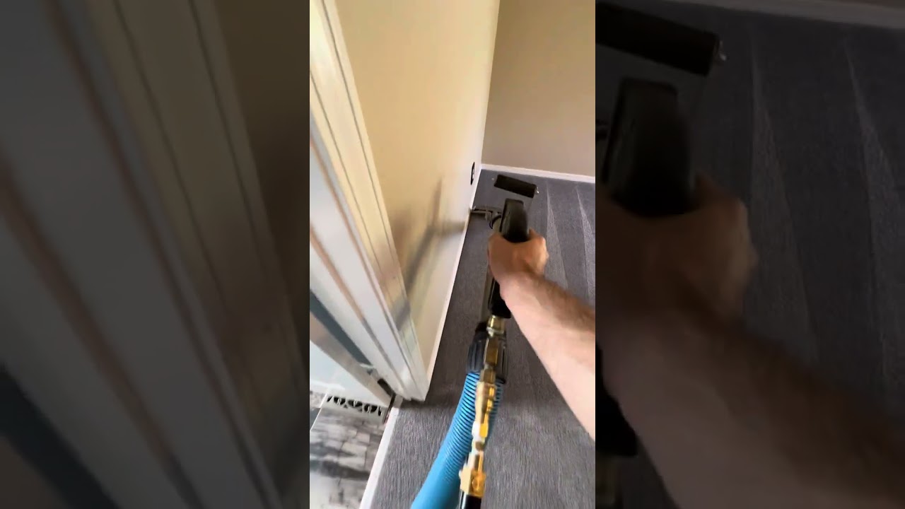 Steam cleaning, old pet stains, and dirty carpet with 870hp Everest