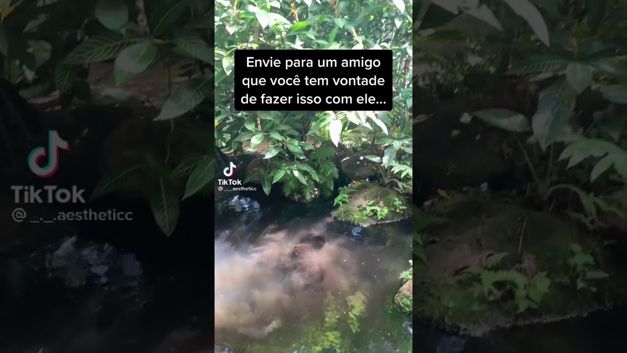 Mande para o seu amigo chato
