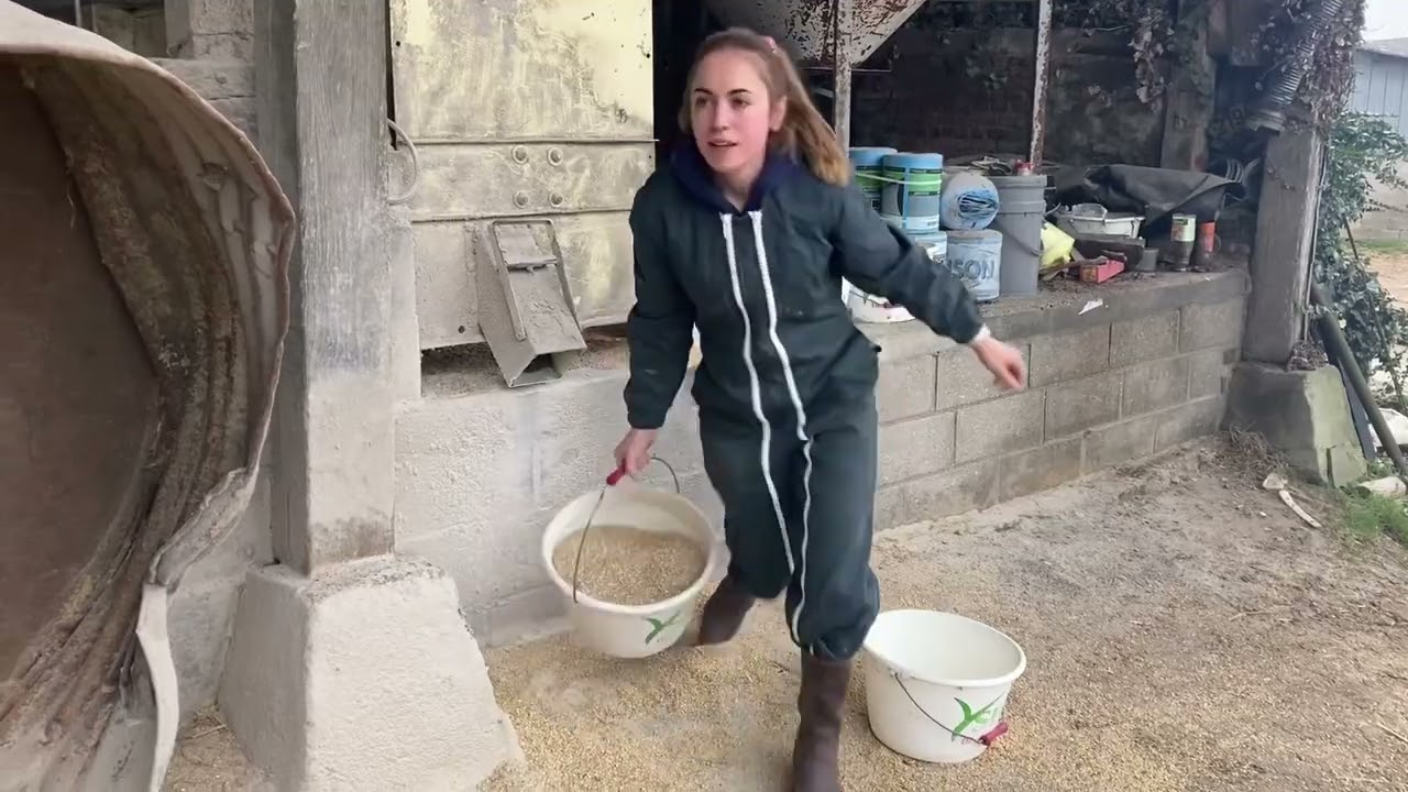 🐮Présentation de l’élevage laitier : partie 2 🐄