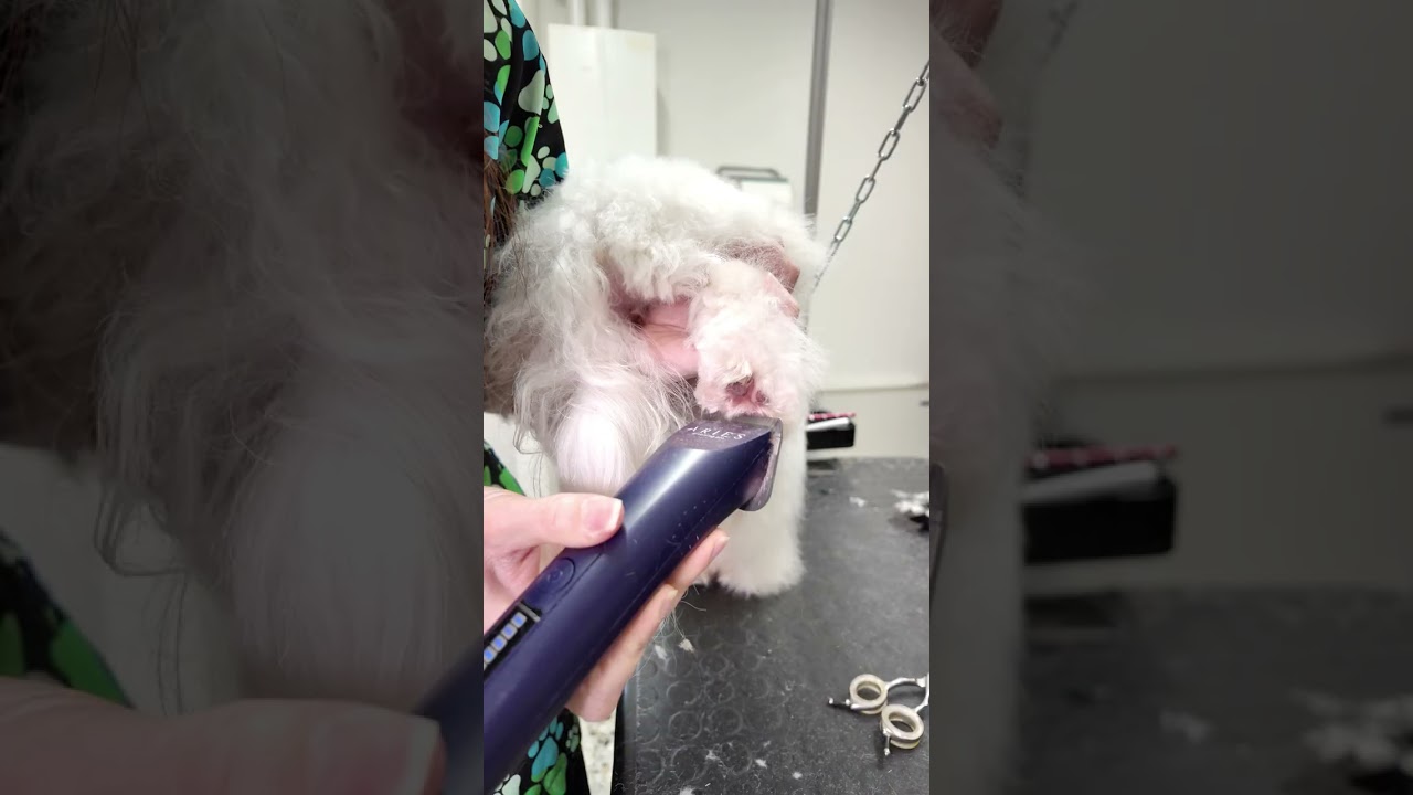 Guardate questa trasformazione! 😍