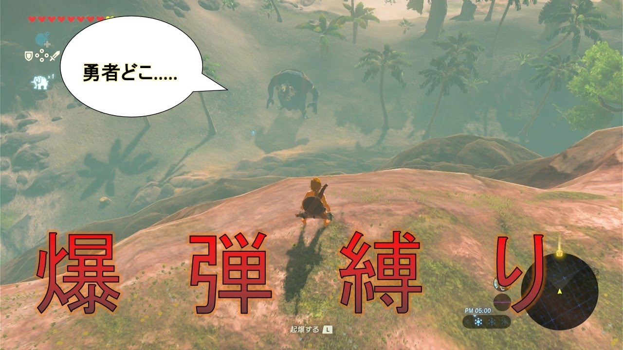 リモコン爆弾のみで全クリを目指す【ゼルダの伝説ブレスオブザワイルド】part５