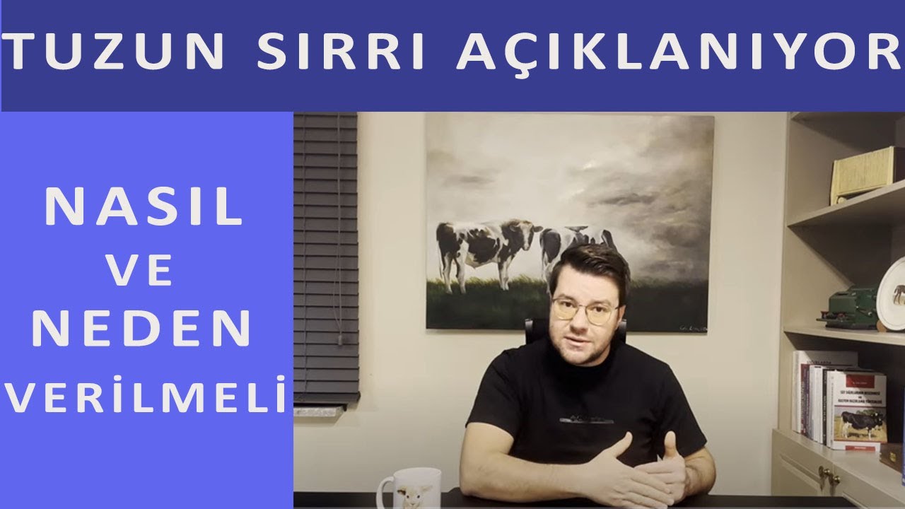 Hayvanlarda Tuzun Sırrı: Verimliliği ve Sağlığı Artıran Altın Anahtar! Neden ve Nasıl Verilmeli?
