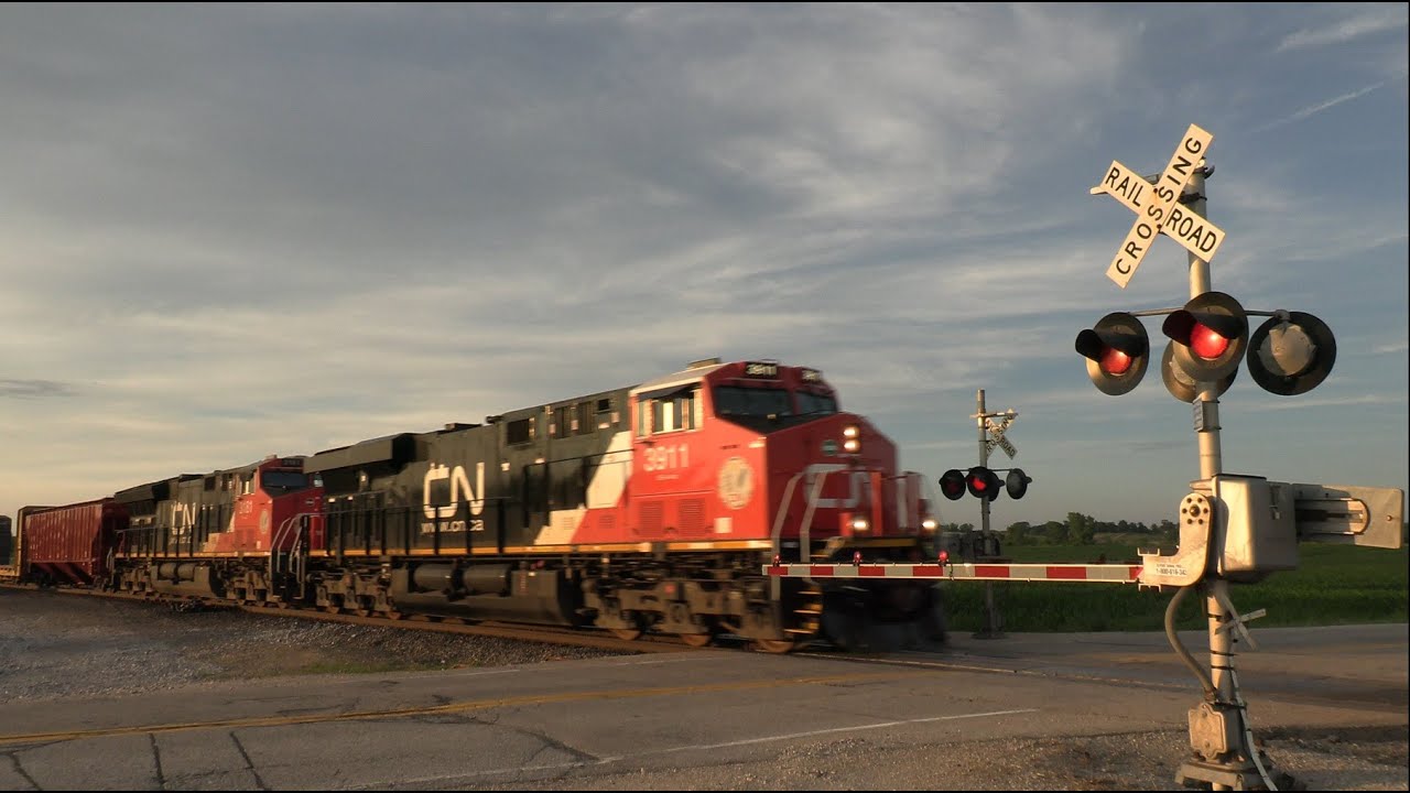 CN Freight Train - Highway Y (Summer)