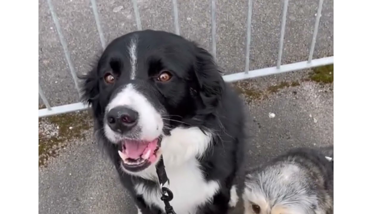 A few more for you :)